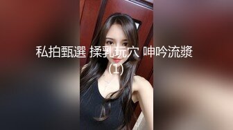 精选美女厕所TP系列 几个颜值不错的美少妇