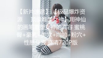 极品美乳丝模私拍视频