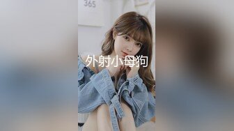 无码高清不卡