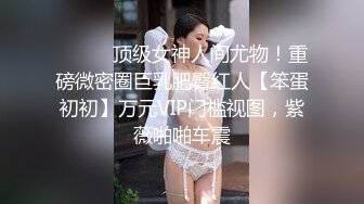 ⚫️⚫️顶级女神人间尤物！重磅微密圈巨乳肥臀红人【笨蛋初初】万元VIP门槛视图，紫薇啪啪车震