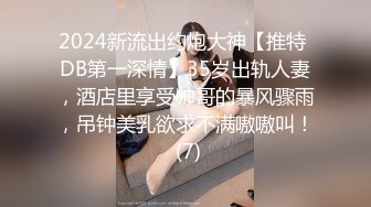 性感的丝袜少妇