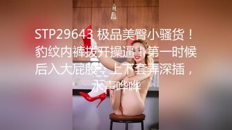 国产AV 蜜桃影像传媒 PMD005 强暴我的一日女友 辉月杏梨