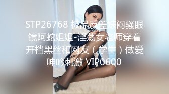 STP28384 起点传媒 性视界传媒 XSJ006 木偶骑欲记 坏坏