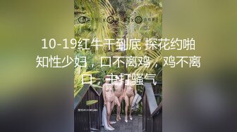 10-19红牛干到底 探花约啪知性少妇，口不离鸡，鸡不离口，主打骚气