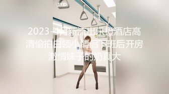 2023-10-28【瘦猴子探花】小骚货又来了，吃饱喝足开操，沙发上调情摸穴，按摩器先玩一会，后入撞击深插