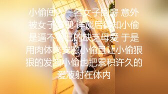 小偷闯入一名女子闺房 意外被女子发现 详谈后得知小偷是逼不得已的缺乏母爱 于是用肉体来安慰小偷且让小偷狠狠的发洩小偷也把累积许久的爱液射在体内