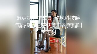 麻豆探花推车哥 约炮科技脸气质模特性感肤美丰臀美腿叫声可射