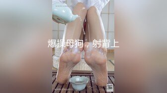 はじめて彼女ができたので幼なじみとSEXや中出しの练习をする事にした 久留木玲