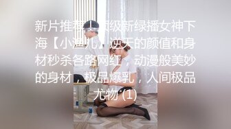 这样的大奶母狗喜欢吗