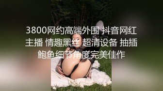 3800网约高端外围 抖音网红主播 情趣黑丝 超清设备 抽插鲍鱼细节角度完美佳作