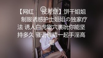 国产麻豆AV MD MD0039 女优面试员 叶一涵