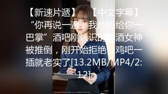 映秀传媒 YSCM-106 我的贴身女仆