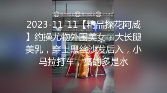 【91康先生探花】酒店偷拍小少妇，有几分姿色哦，亲和力强，温柔可亲，口交啪啪任劳任怨让人满意