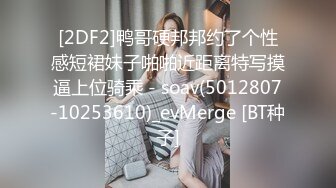 大神潜入商场女厕偷拍 牛仔短裙妹子肥美的无毛B