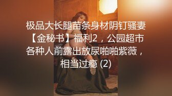 极品大长腿苗条身材阴钉骚妻【金秘书】福利2，公园超市各种人前露出放尿啪啪紫薇，相当过瘾 (2)