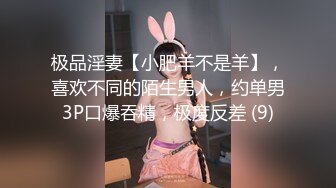 极品淫妻【小肥羊不是羊】，喜欢不同的陌生男人，约单男3P口爆吞精，极度反差 (9)