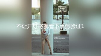 不让开灯将就看下手势验证1