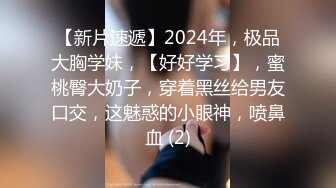 2024一月最新流出❤️厕拍极品收藏⭐全新镜头升级商场后拍无比清秀的极品美女