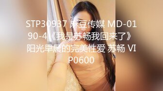 【麻豆传媒】mdhg-0016 在天桥上的享乐者-言欣恬