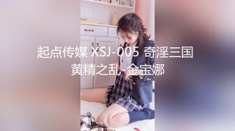 起点传媒 XSJ-005 奇淫三国 黄精之乱-金宝娜