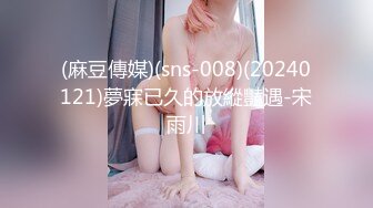 (麻豆傳媒)(sns-008)(20240121)夢寐已久的放縱豔遇-宋雨川