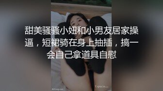 甜美骚骚小妞和小男友居家操逼，短裙骑在身上抽插，搞一会自己拿道具自慰