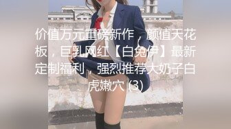 探花系列-约极品甜美嫩妹换上猫女郎情趣装吊带黑丝高跟鞋,扶着美臀骑乘猛操深插