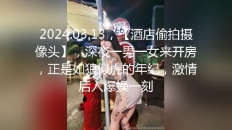 2024.03.13，【酒店偷拍摄像头】，深夜一男一女来开房，正是如狼似虎的年纪，激情后入爆操一刻