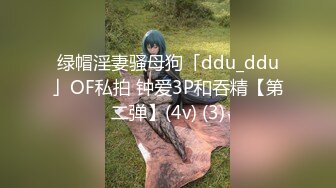  2023-03-01 放浪传媒FX-0017淫荡母狗的极致调教