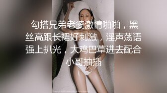  勾搭兄弟老婆激情啪啪，黑丝高跟长裙好刺激，淫声荡语强上扒光，大鸡巴草进去配合小哥抽插