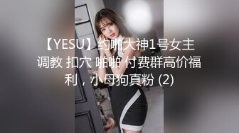 【YESU】约啪大神1号女主 调教 扣穴 啪啪 付费群高价福利，小母狗真粉 (2)