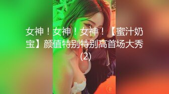 04淫荡的吮吸声：高三小母狗的侍奉