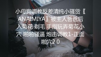 小母狗调教反差清纯小骚货〖ANAIMIYA〗被主人爸爸后入菊花 剃毛 手指玩弄菊花小穴 啪啪骚逼 炮击调教1-正面啪穴2.0