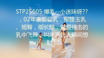 91经典系列资源整理合集P2【105V】 (29)