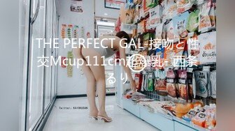 THE PERFECT GAL-接吻と性交Mcup111cm超爆乳- 西条るり